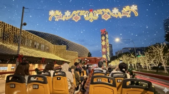 クリスマスライアップツアー